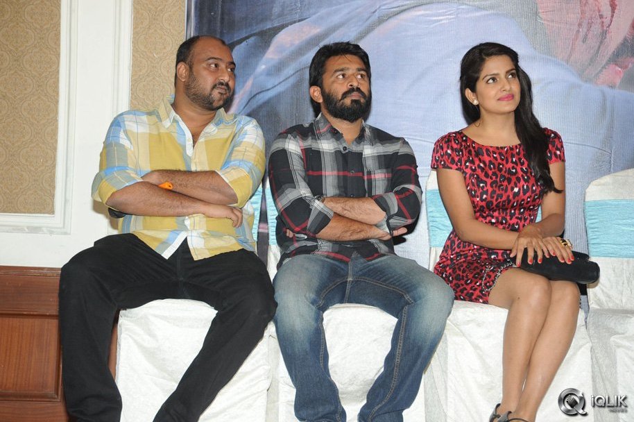 Rowdy-Fellow-Movie-Success-Meet